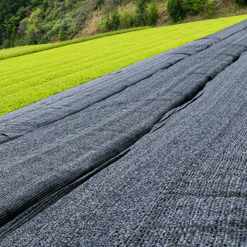 Organic Kabusecha 0.5 LB